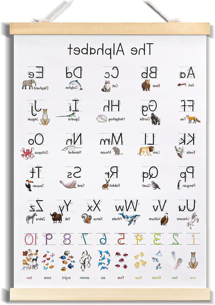 Educatieve illustratie poster voor kinderen