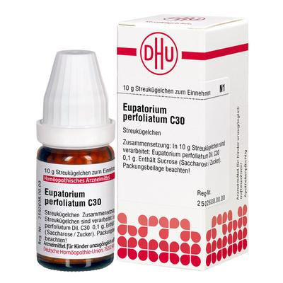 Eupatorium Perfoliatum C 30 Globuli 10 g