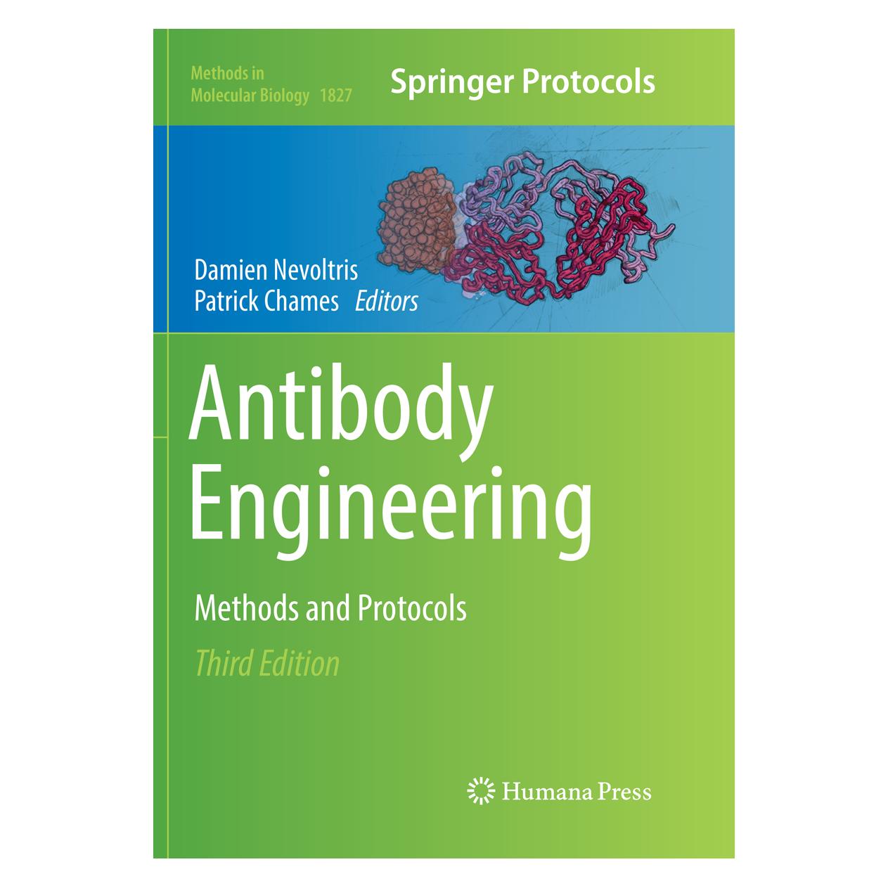 Springer Antibody Engineering (Englisch, Softcover, Damien Nevoltris, Patrick Chames) (56097426)