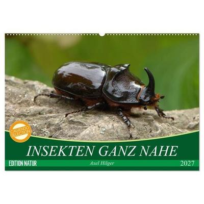 INSEKTEN GANZ NAHE (Wandkalender 2027 DIN A2 quer), CALVENDO Monatskalender