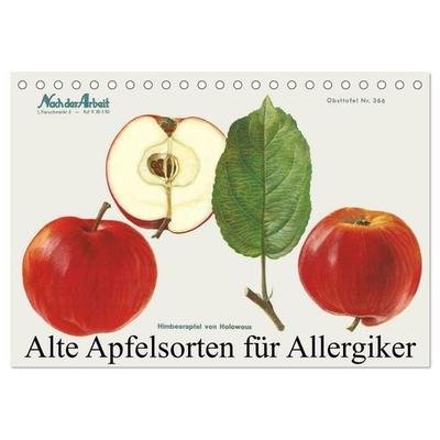 Alte Apfelsorten für Allergiker (Tischkalender 2026 DIN A5 quer), CALVENDO Monatskalender