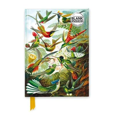 Premium Notizbuch Blank DIN A5: Ernst Haeckel, Kolibris, Nonbook von Flame Tree Publishing, Browntrout, 978-1-83562-210-0