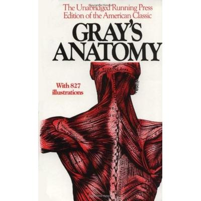 Gray's Anatomy, Taschenbuch von Henry Gray, UK Books, 978-0-914294-08-5