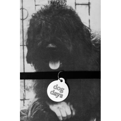 dog days, Taschenbuch von , Shift Books, 978-3-948174-44-6