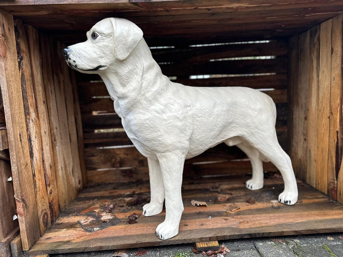 Goodyz Labrador beeld voor honden, wit, staand, Hoogte: 75 cm