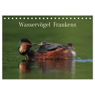 Wasservögel Frankens (Tischkalender 2026 DIN A5 quer), CALVENDO Monatskalender