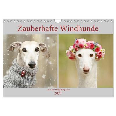 Zauberhafte Windhunde (Wandkalender 2027 DIN A4 quer), CALVENDO Monatskalender