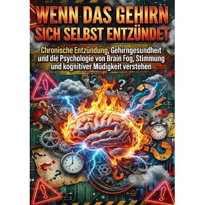 Wenn das Gehirn sich selbst entzündet, Taschenbuch von David Schmitz, Epubli, 978-3-565-18010-3