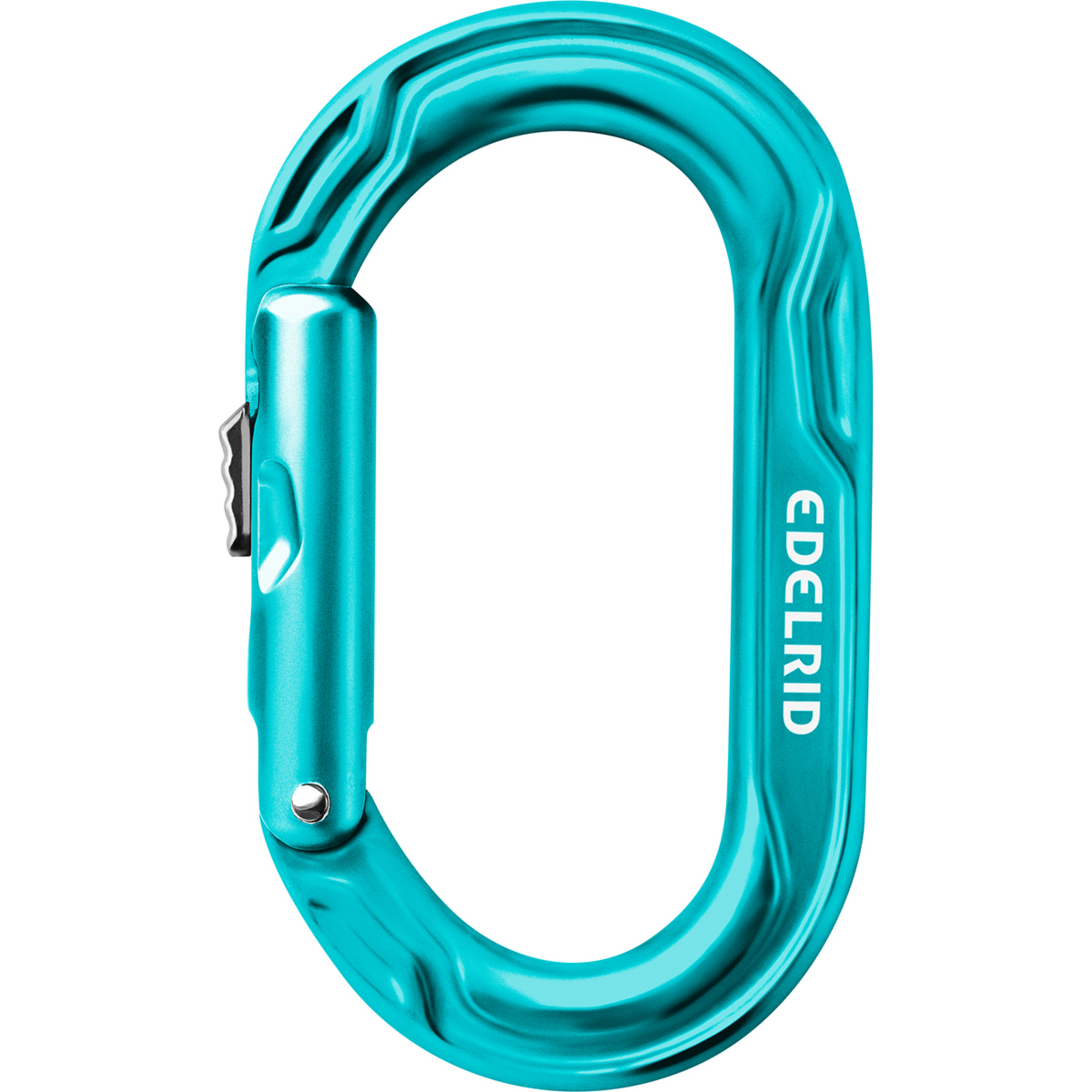 Edelrid Kiwi Slider Karabiner Karabiner tuerkis Alpinklettern