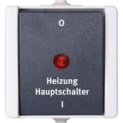 Kopp 541356004 proAQA - Heizungshauptschalter, Farbe: grau