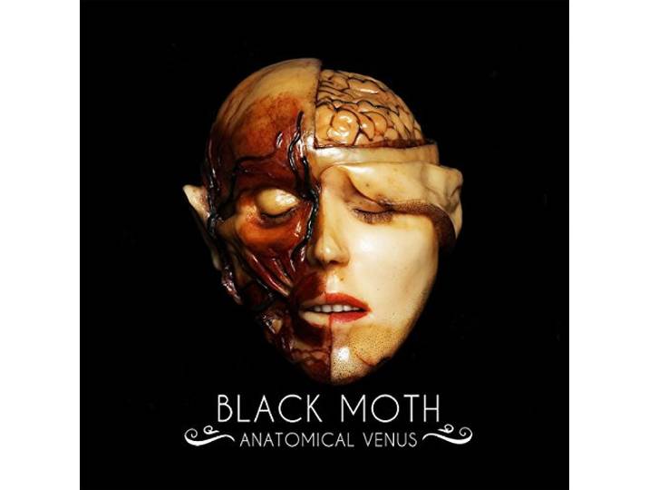 Anatomical Venus
