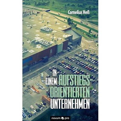 In einem aufstiegsorientierten Unternehmen, Taschenbuch von Cornelius Hess, Novum Verlag, 978-3-99048-170-7