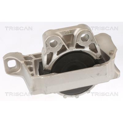 TRISCAN Lagerung, Motor 8505 10100 für Ford Volvo