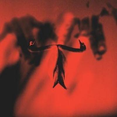 Make Team Presents Maxim Mental in Maximalism - Maxim Mental, CD