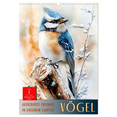 Vögel - gefiederte Freunde in unserem Garten (Wandkalender 2026 DIN A3 hoch), CALVENDO Monatskalender