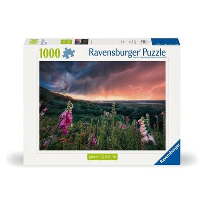 Erwachsenenpuzzle 1000 Teile - Ein Sturm zieht auf