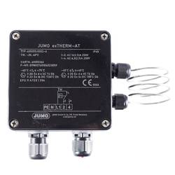Jumo 60003366 2-Punkt-Regler Temperaturwächter 50 °C (max.) Relais 16 A