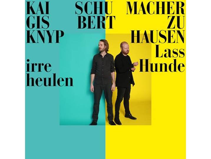 Lass Irre Hunde (Lp)