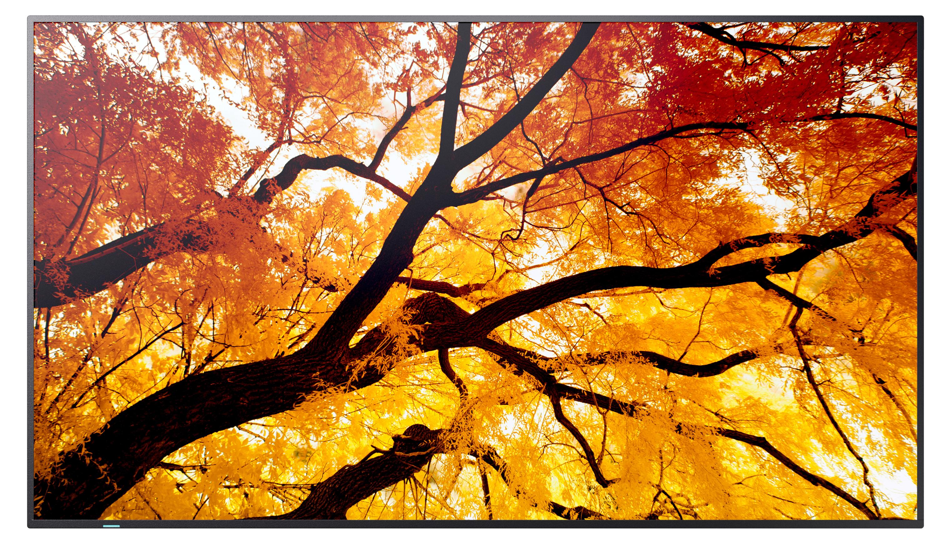 Sharp MultiSync M502, Digital Signage Flachbildschirm, 127 cm (50"), LCD, 3840 x 2160 Pixel, 24/7