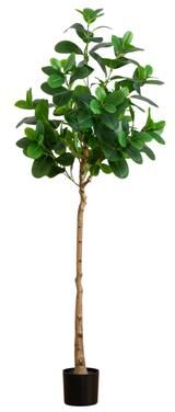 Nearly Natural 6' Artificial Audrey Ficus Tree - Green