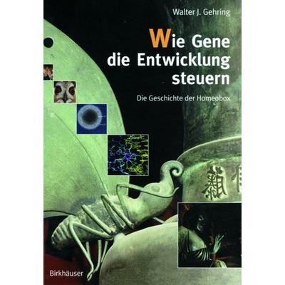 Wie Gene die Entwicklung steuern, Taschenbuch von Walter J. Gehring, Springer Basel, 978-3-7643-6039-9