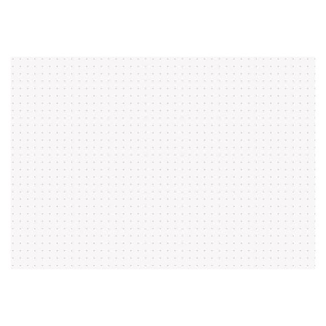 Brunnen Karteikarten A5 punktiert weiss VE=100 Stück (A5, 180 g/m²) (102250300)
