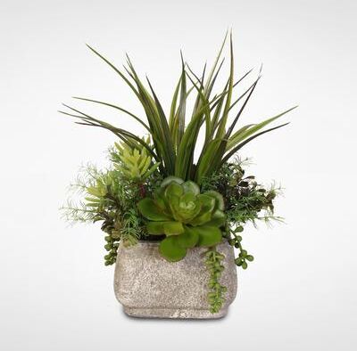 Jenny Silks Silk Succulent Arrangement With Grass in a Stone Pot