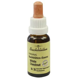 Bachblüten Murnauer White Chestnut Tropf 20 ml
