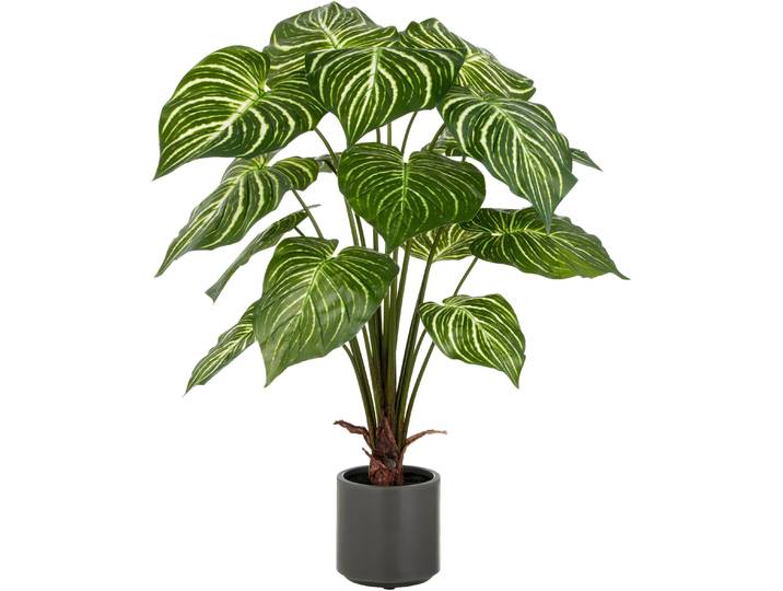 Kunstpflanze CREATIV GREEN Philodendron Birkin , grün (grün, weiß), H:100cm, Kunststoff, Kunstpflanzen, Kunstpflanze, mit naturgetreuem Blattwerk