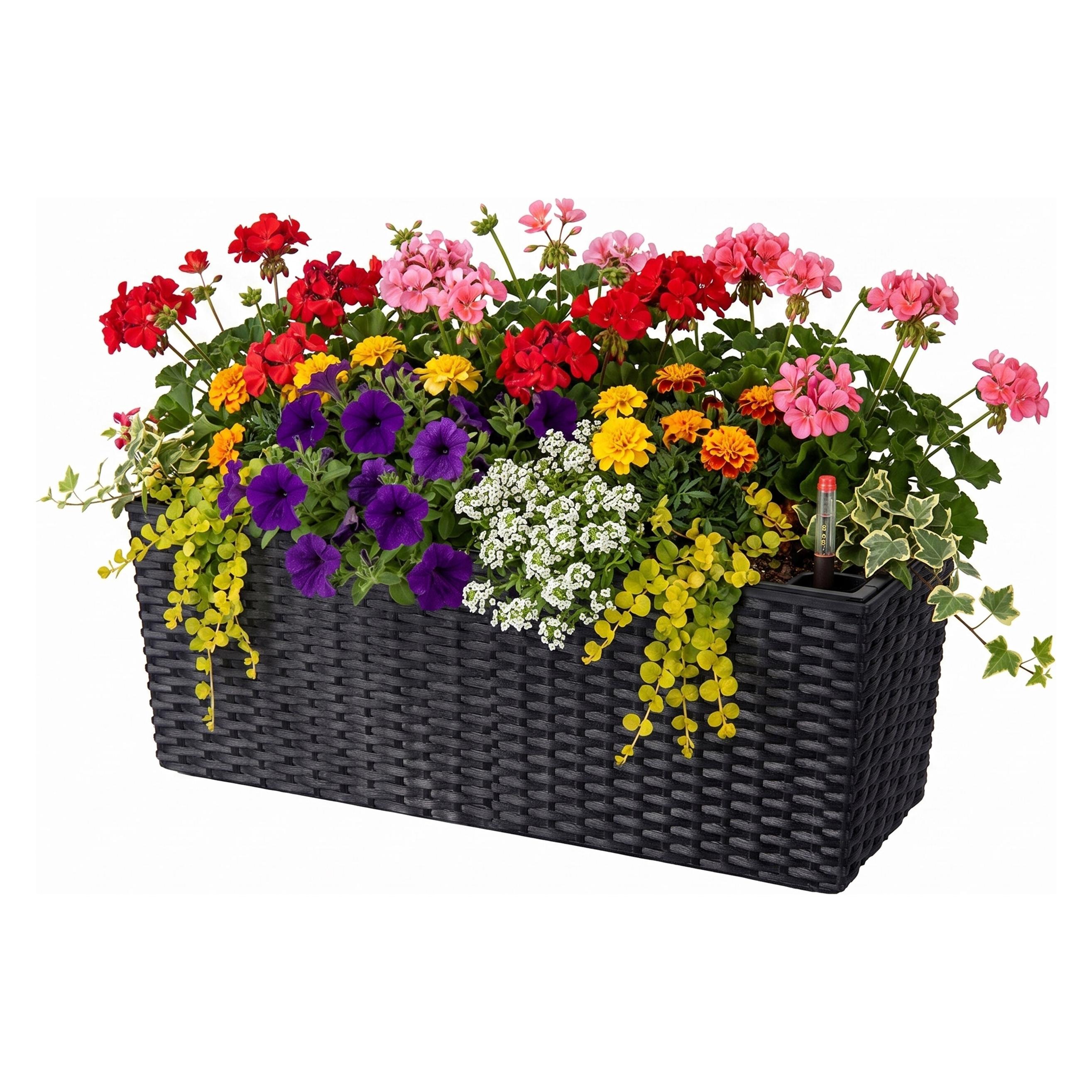Relaxdays Balkonkasten (19 x 50 x 19 cm) (4052025833145)