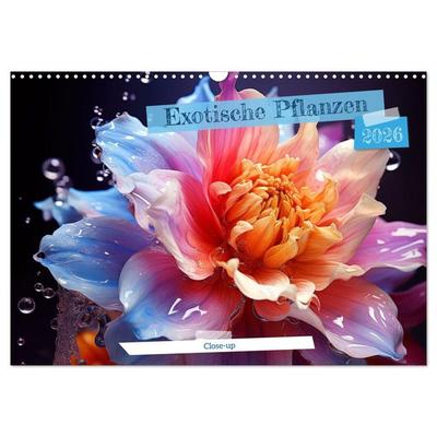 Exotische Pflanzen Close-up (Wandkalender 2026 DIN A3 quer), CALVENDO Monatskalender