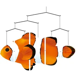 Invento, Babymobile, Ocean Clown Fish