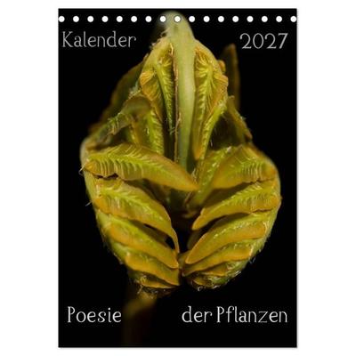 Poesie der Pflanzen (Tischkalender 2027 DIN A5 hoch), CALVENDO Monatskalender