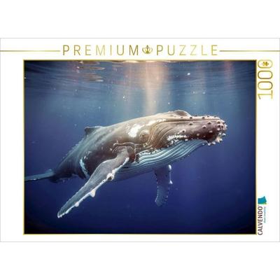 CALVENDO Puzzle Kluge Köpfe im Tierreich - Fakten, die verblüffen. | 1000 Teile Lege-Größe 64 × 48 cm Foto-Puzzle für glückliche Stunden, von ,