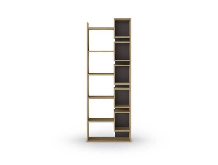 Calicosy Regal Design H168,5 cm - Eladi, Eiche Bianco, Anthrazit, Holzwerkstoff, 22x168.5x60.4 cm, Wohnzimmer, Regal, Bücherregale