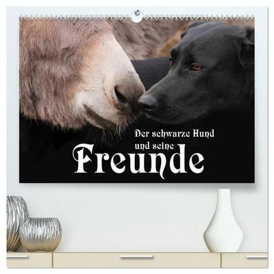 Der schwarze Hund und seine Freunde (hochwertiger Premium Wandkalender 2027 DIN A2 quer), Kunstdruck in Hochglanz