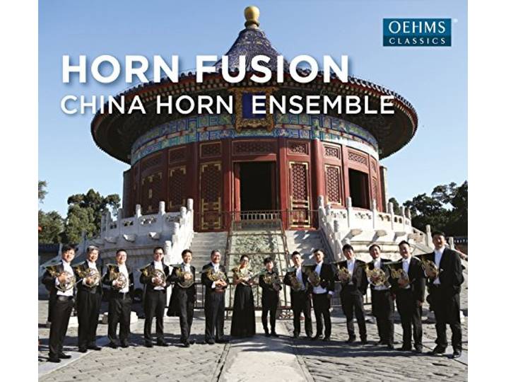 Horn Fusion