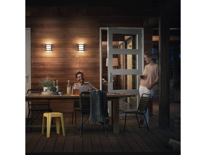 Philips LED Außenwandleuchte Python, schwarz, Edelstahl