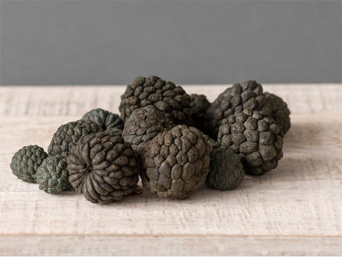 Decoratie dennenappel 040 donkergrijs