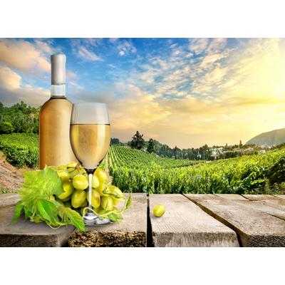 Fototapete PAPERMOON "Wein mit Felder", bunt, B:5m L:2,8m, Vlies, Tapeten