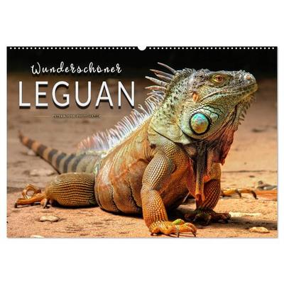 Wunderschöner Leguan (Wandkalender 2026 DIN A2 quer), CALVENDO Monatskalender