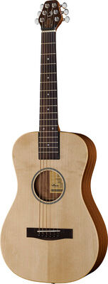 Journey Instruments PJ410N Natur