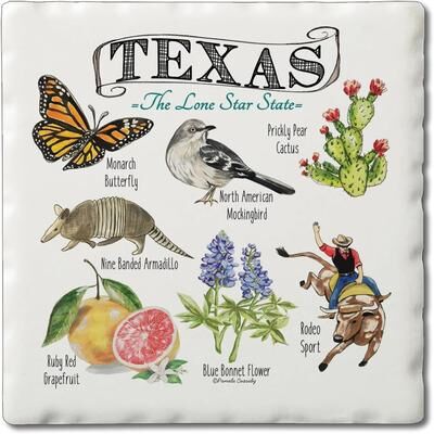 Thirstystone Texas State Icons 4-Pack Tumbled Tile Stone Coasters with Protective Cork Backing Manufactured in The USA