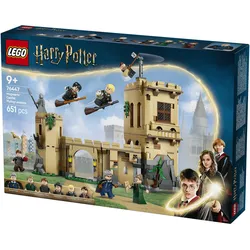 LEGO Schloss Hogwarts Flugstunden