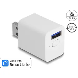 DELOCK WLAN EASY-USB Smart Life Schalter