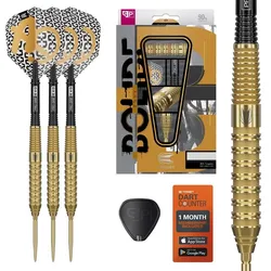Target Bolide Envy 02 Swiss Points Steeldarts