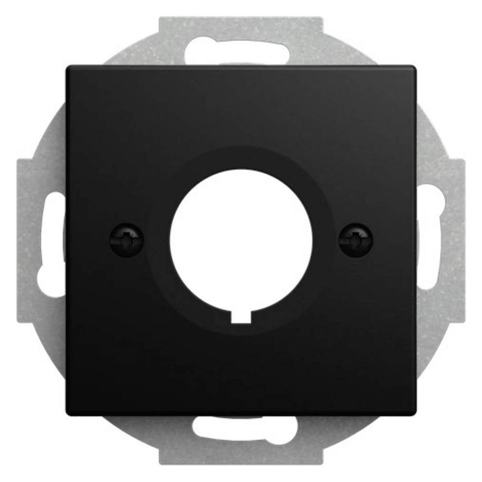 Busch-Jaeger Zentralscheibe mit Tragring BUSCH-JÄGER (2CKA001724A4464)