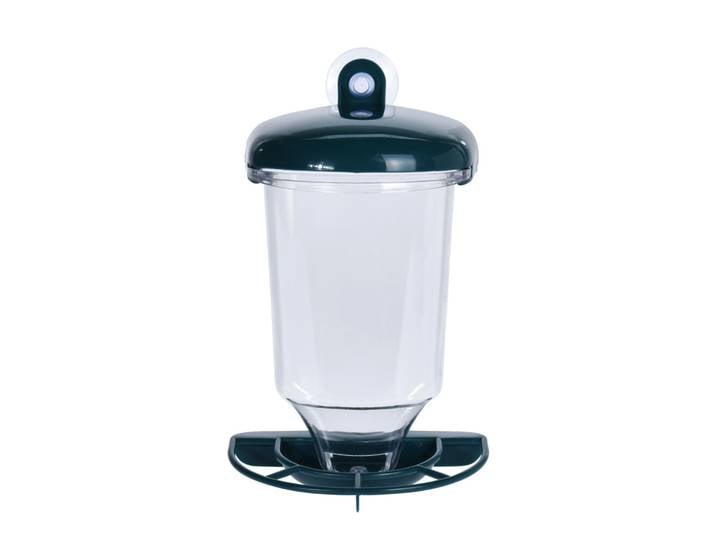 Vogel Futterstation mit Saugnapf