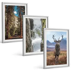 BILDER SET 3er Set - 40x60 cm Silberner Rahmen - Straße Wald Berge Hirsch Natur