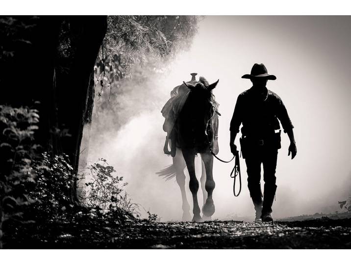 Fototapete PAPERMOON WILDE WESTEN-PFERD TIERE PFERDE SCHWARZ WEIss WANDTAPETE , bunt, B:2m L:1,49m, Vlies, Tapeten, Fototapete